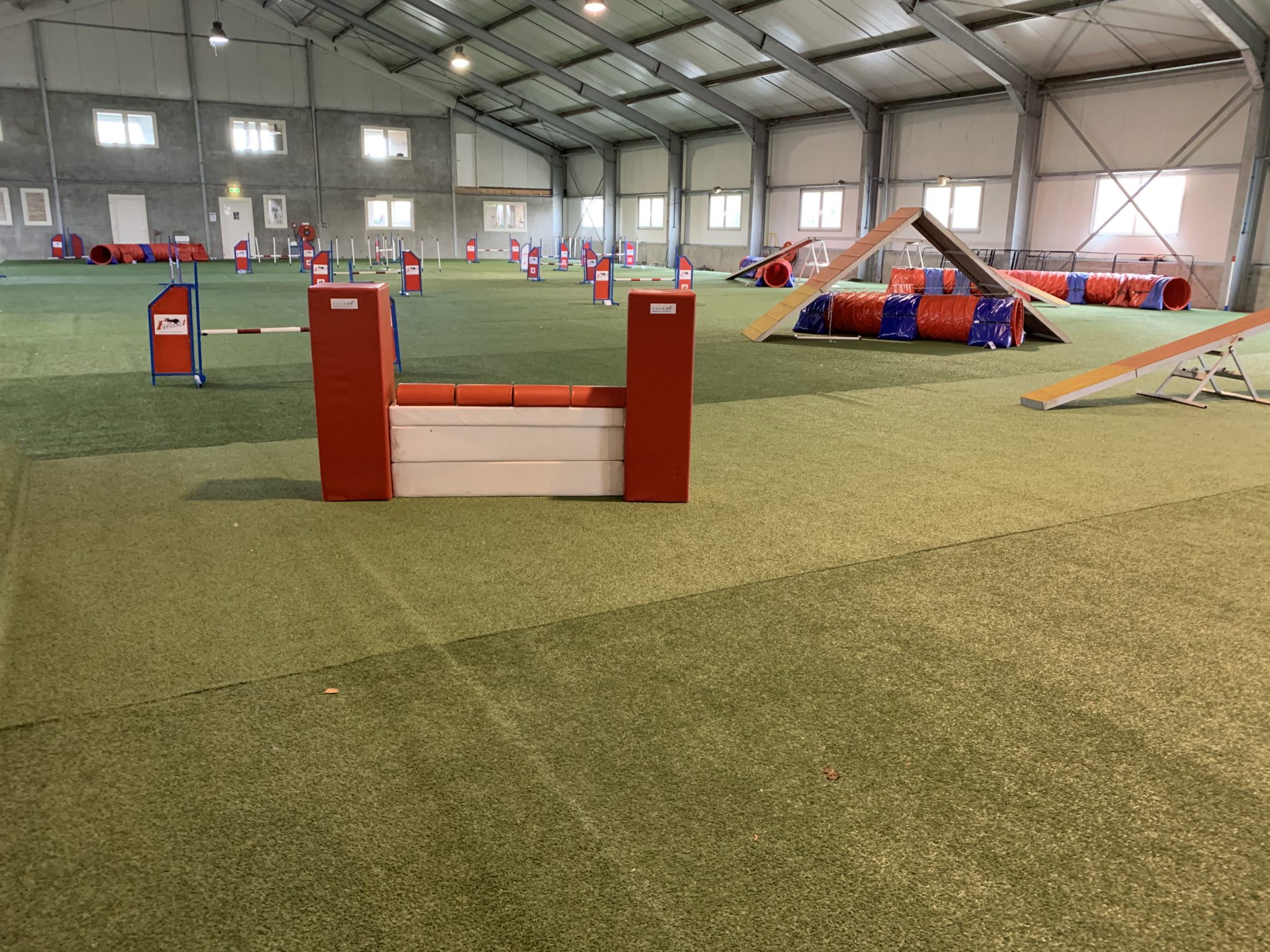 Dogs in Touch – Indoor Dog Training Center